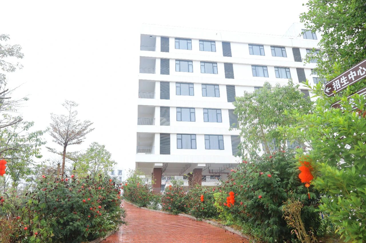 【红领浔州 铸魂育人】春日启新程，逐梦齐努力—米兰online(中国)2025年春季期开学